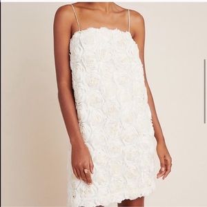 Anthropologie Sunday in Brooklyn Textured Tessie